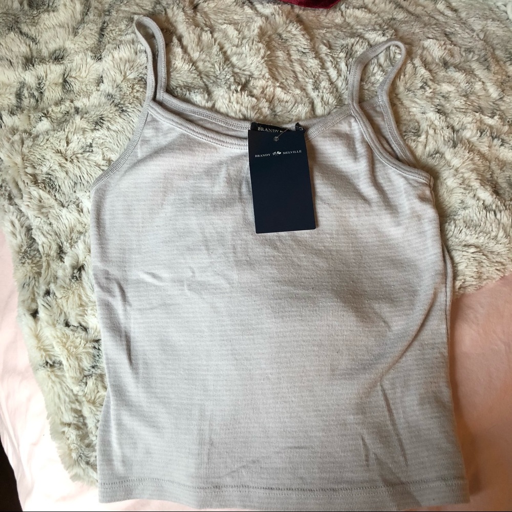 NWT Brandy Melville cropped tank